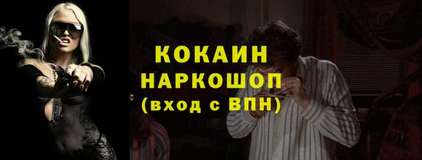 крисы Аркадак