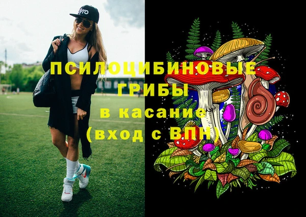крисы Аркадак