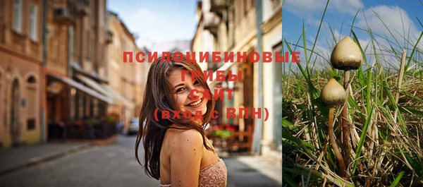 герыч Арсеньев
