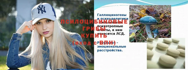 крисы Аркадак