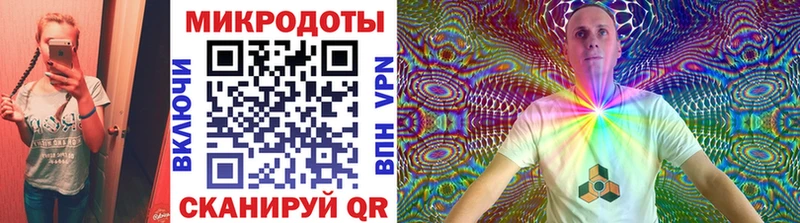 что такое Учалы маркетплейс Telegram Псилоцибиновые грибы Psilocybe